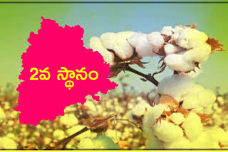 Telangana is the second largest cotton grower in India