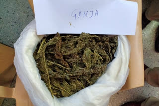 Ganja