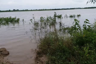 ಪ್ರವಾಹ ಭೀತಿಯಲ್ಲಿ ತಾರಾಪುರ ಜನತೆ