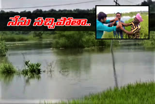 farmer-suicide-attempt-at-palakeedu-mandal-in-suryapet-district