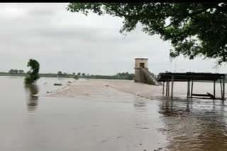 Kudachi Bridge submerged: Karnataka-Maharashtra road Disconnected