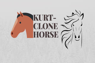 kurt ,clone horse