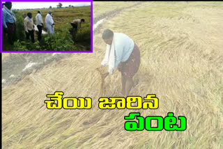 mlc jeevan reddy visited jagithyala district crops