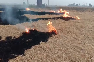 Straw burning in Amritsar has not stopped