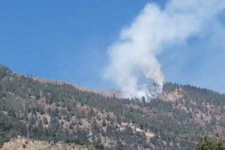 forest fire in kinnaur