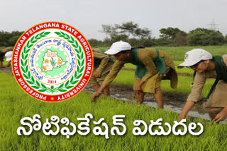 pjtsau released notification for agriculture engineering