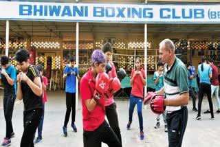 Bhiwani boxers