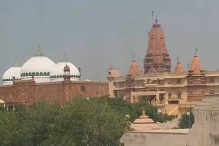 mathura court admits petition seeking removal of mosque from krishna janmabhoomi