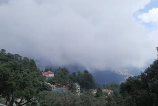 Shimla