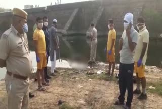 rajasthan news,  dead body found in panchana river