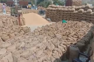 Paddy lifting halted in Attari Dana Mandi