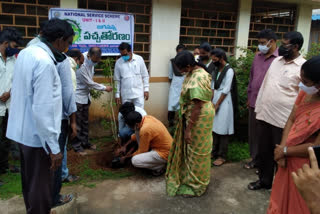 planted trees in yn college at narasapuram west godavari district