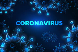 Corona virus