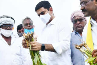 nara lokesh visit flood area in guntur district