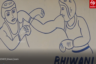 BHIWANI_BOXER