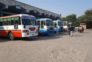 bus service starts for rajasthan and punjab from jind