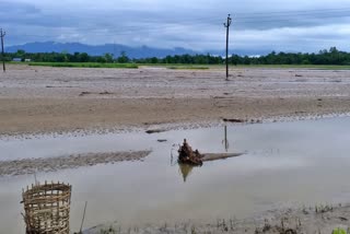 Kati Bihu will not celebrate in Flood affected areas