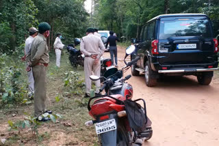 elephants group has reached balod Dalli forest