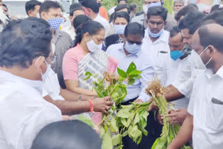 Ministers visit flood area in Guntur District