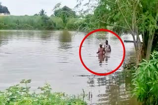 Brothers swim in Flood in Vijayapura