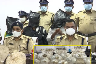 Interstate gang arrested for burglary at temples at kurnool  district