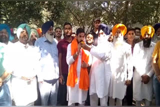 A group of 250 social activists joined the Shiromani Akali Dal