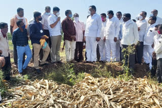 guardian minister jayant patil inspects the damaged area at jat taluka in sangli district