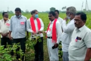 cpi rama krishna on crop loss due to floods