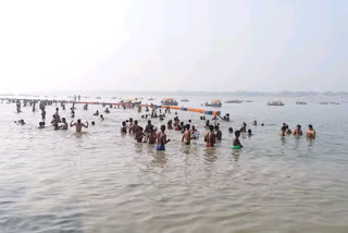 people took a dip in sangam