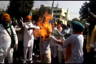 Farmers burn Modi government effigy outside DC office