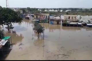 Water levels  increase in Bhima river
