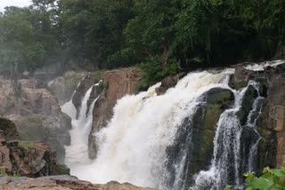 hoganakkal