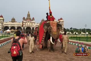 brahmacharini worship