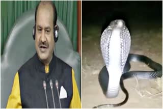 cobra in Om Birla house,  Lok Sabha Speaker Om Birla