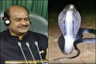 5 feet tall cobra found in lok sabha speaker om birla house in kota