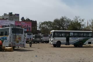jaipur news, rajasthan roadways