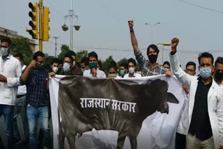 Protest of doctors, Protest by intern doctor