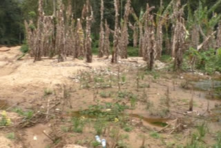 ഗ്യാപ് റോഡ്  ഉരുള്‍പൊട്ടൽ  മണല്‍  കൃഷി  agricultural land  Landslide