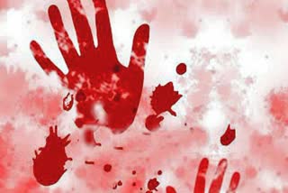 Murder of a lady due to dowry in karimganj assam etv bharat news
