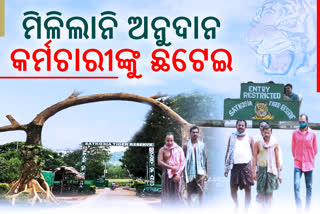 ଦୁର୍ଦ୍ଦିନରେ ପରିବାର, ଅସ୍ଥାୟୀ କର୍ମଚାରୀଙ୍କ ହାତ ଛାଡିଲା ବନ ବିଭାଗ