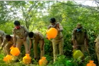 local liquor at anantapur district