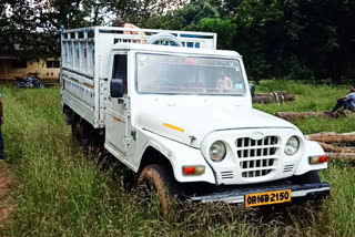 wood Smuggler in jashpur