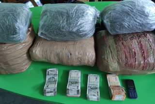 two-arrested-while-selling-cannabis-in-rajarhat