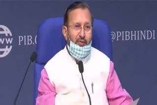 Pollution problem can't be resolved in a day, continuous efforts needed: Javadekar