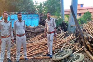 sakhua wood seized in hazaribag