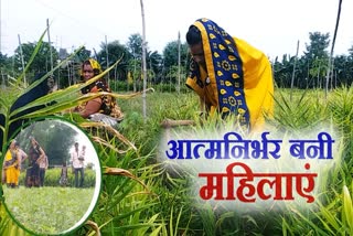 sapna-kachi-became-an-inspiration-for-womens-by-farming-in-corona-period-in-jabalpur