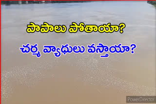 godavari river polluting with factory wastage