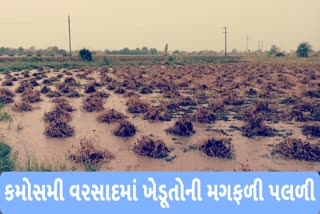 જામનગર