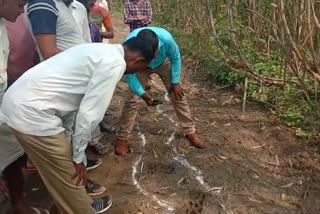 शाहजहांपुर गांव खेड़ा संडा में तेंदुए के पैर के निशान देखते ग्रामीण व वन विभाग के कर्मचारी