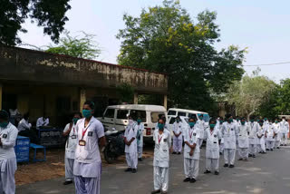 Nursing students protested, नर्सिंग विद्यार्थियों ने किया प्रदर्शन